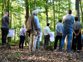 Zu den Deutschen Waldtagen im September laden deutschlandweit vielfältige Veranstaltungen in die Wälder ein. Foto: FNR/Juliane Dabels
