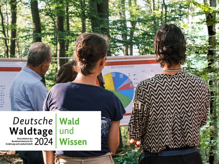 Die Deutschen Waldtage 2024 finden vom 13. bis 15. September unter dem Motto „Wald und Wissen“ statt. Foto: FNR/Juliane Dabels