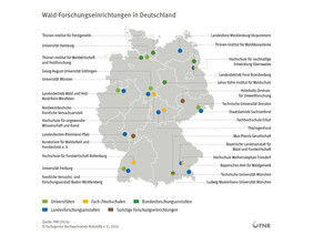 In Deutschland gibt es zahlreiche Einrichtungen, die sich mit Waldforschung befassen. Viele werden auch Veranstaltungen zu den Deutschen Waldtagen 2024 anbieten. Foto: FNR