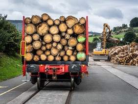 Zwischengelagertes Rundholz wird mit einem Verladebagger auf einen Güterwagen für den Transport auf der Schiene verladen. Foto: DB Cargo /Michael Neuhaus